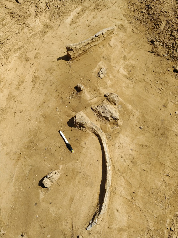 Beethovenova Alej Piešťany - archeologické nálezy